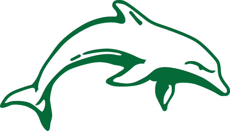Le Moyne Dolphins 1999-2008 Primary Logo diy iron on heat transfer
